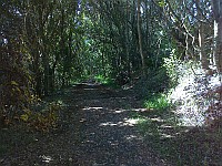 NSW - Coorabell - Old Mango Ln alignment looking S (8 Apr 2012)